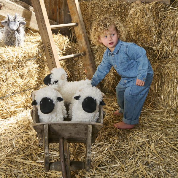 Nana Huchy Valentina the Valais Sheep