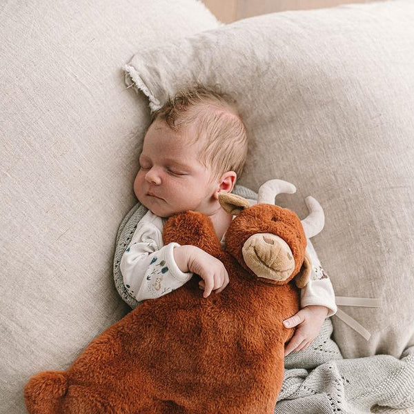 Newborn baby sleeping on a couch with a plush toy