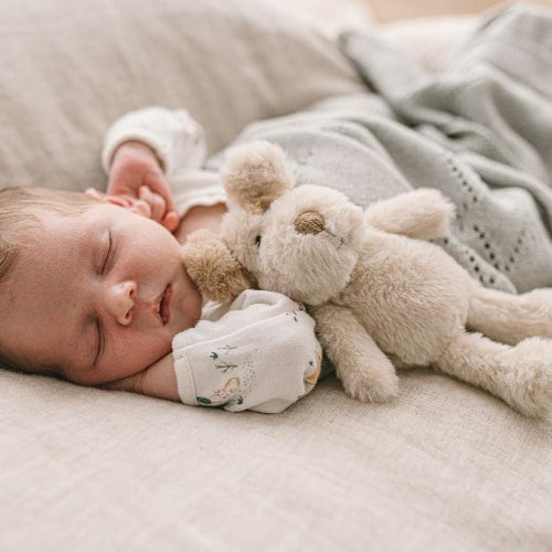 Buddy the Puppy Dog Baby Rattle Soft Toy