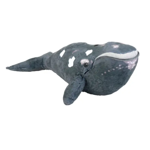 Eco Northern Right Whale Soft Toy Teddy