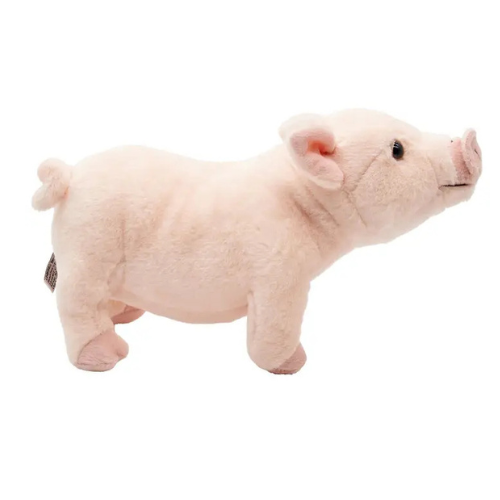 Piglet Pink Teddy Bear - Soft Toy