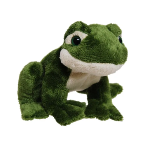 Frog Teddy With Sound - Soft Toy